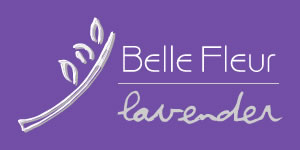 Belle Fleur Lavender